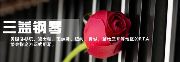 鋼琴與玫瑰海報