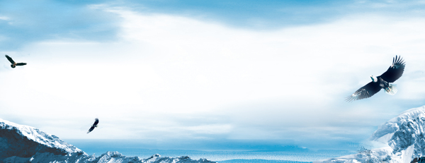 大雁天空淘寶全屏banner背景