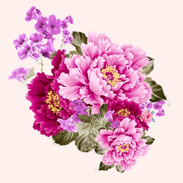 位圖psd植物花朵免費(fèi)素材
