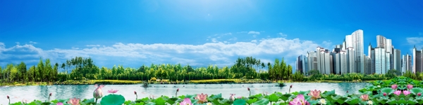 荷花池塘风景图片