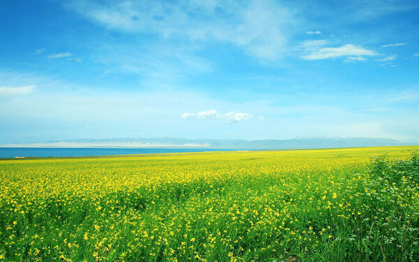 田園風(fēng)景