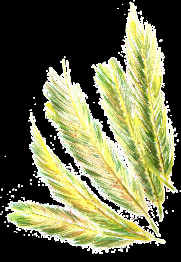 手繪卡通稻草png透明素材