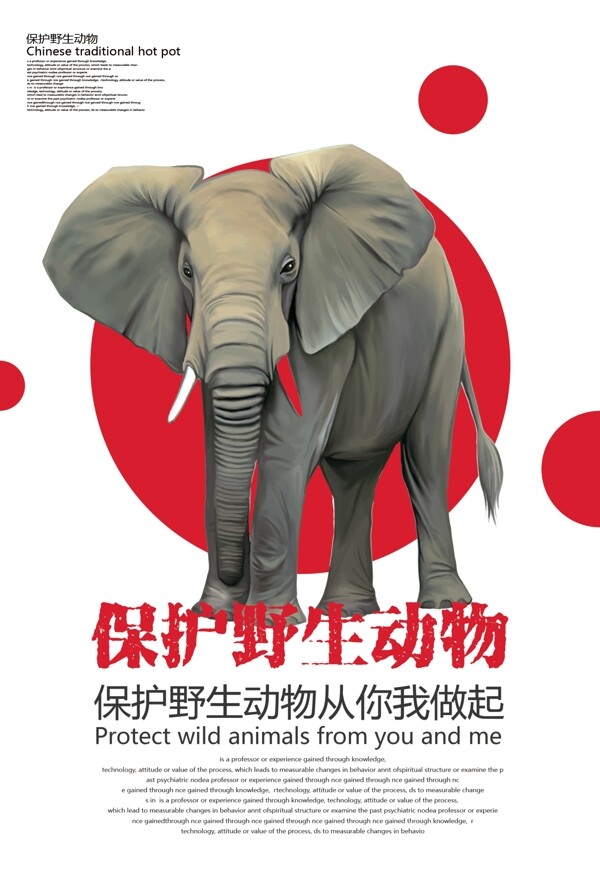 红色简约保护野生动物公益海报