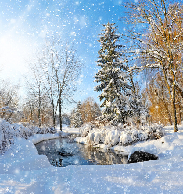 雪地溪流和樹木圖片