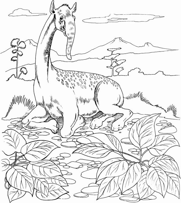 手繪動物畫動物素描