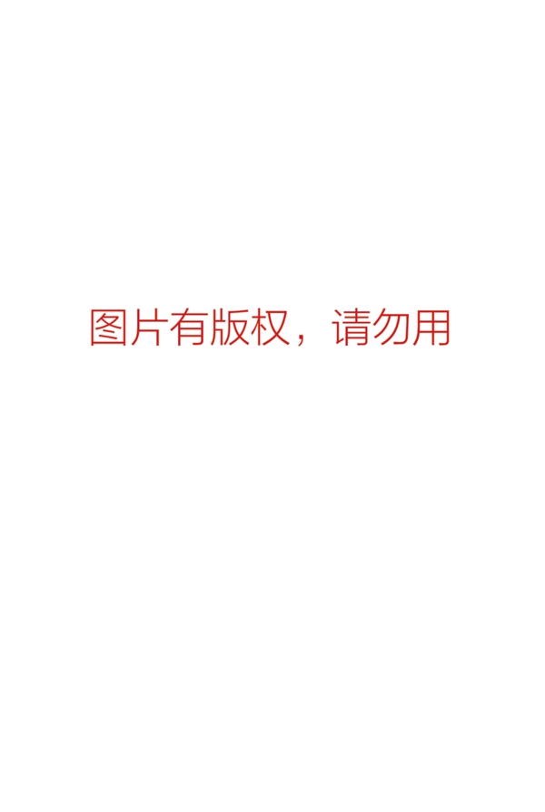 汽車海報