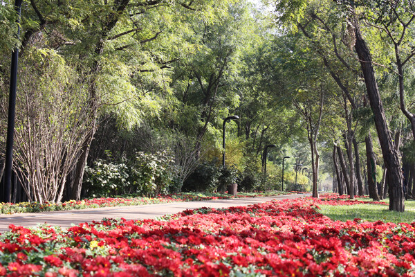 公園風(fēng)景圖片