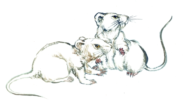 老鼠鼠年水墨复古传统背景素材图片