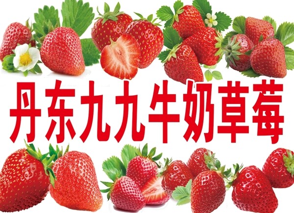 草莓食品背景夏天