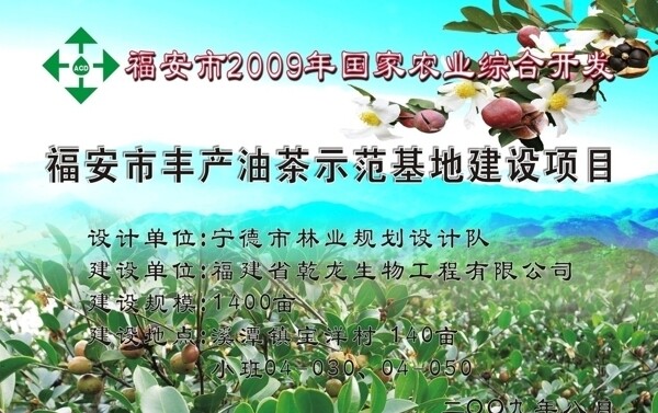 农业综合开发油茶项目图片