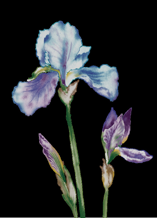 唯美彩绘紫蓝色花朵元素