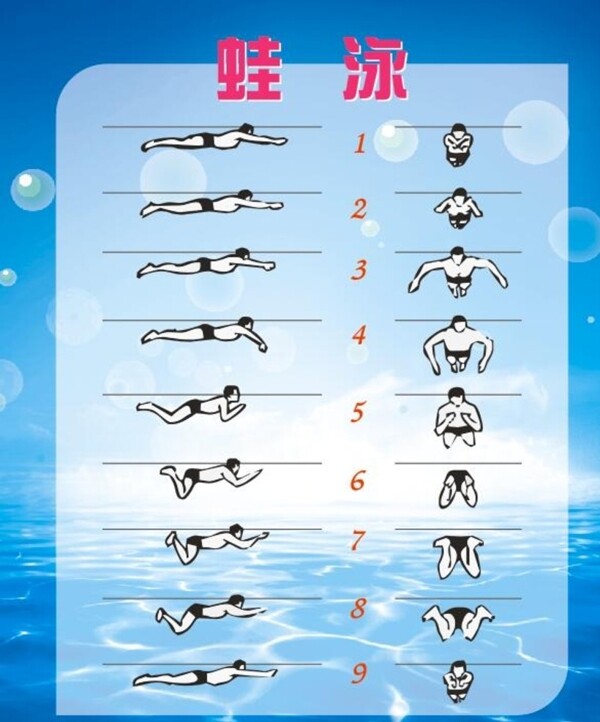 蛙泳