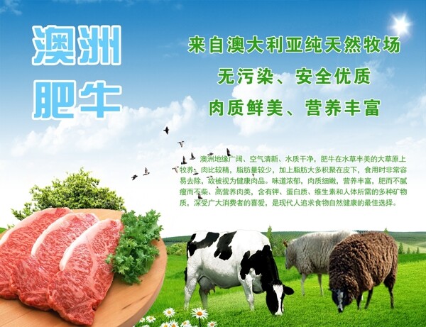 肥牛