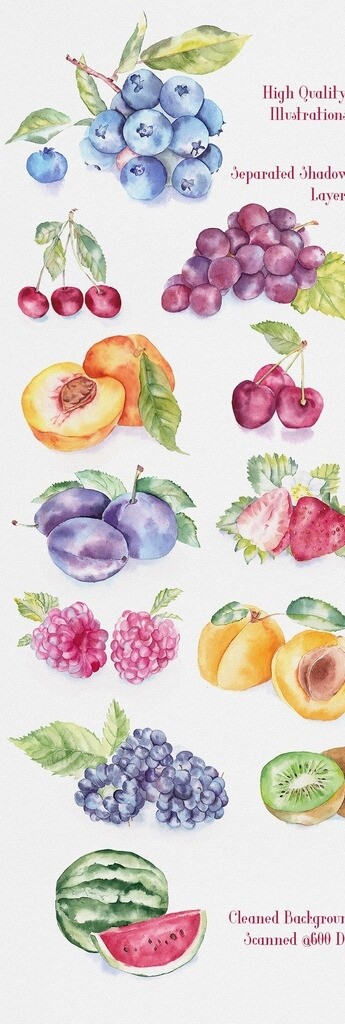 手绘水果水彩水果插画水果