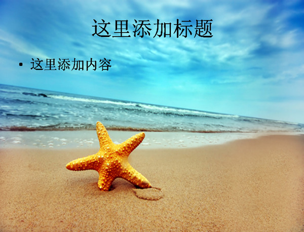 海星海灘海水