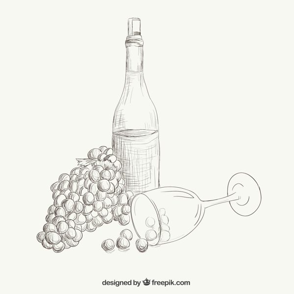 葡萄酒和葡萄說明