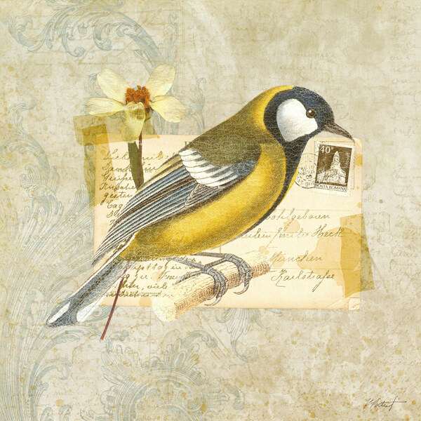 花鳥