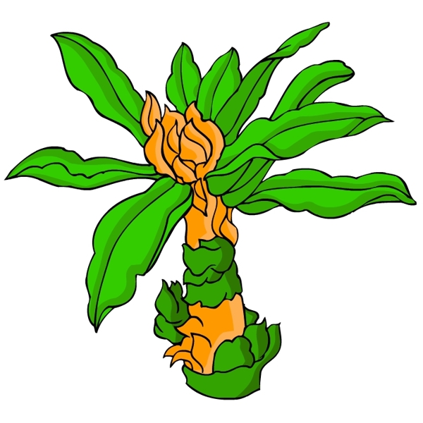 花卉古典插畫