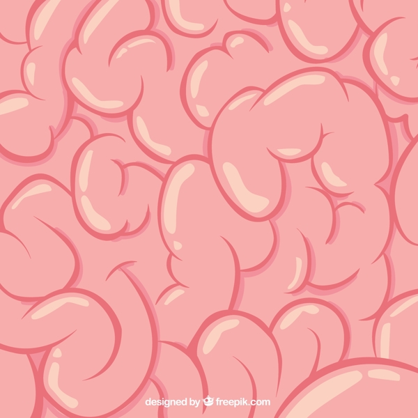 大腦的紋理
