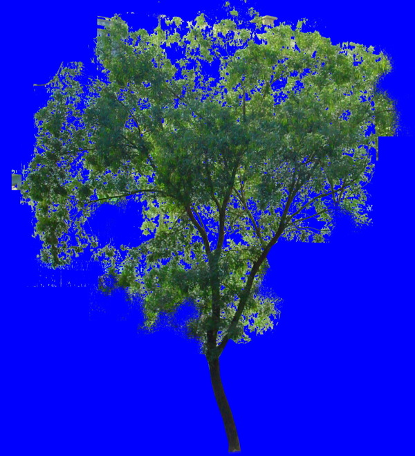 植物貼圖素材JPG1072