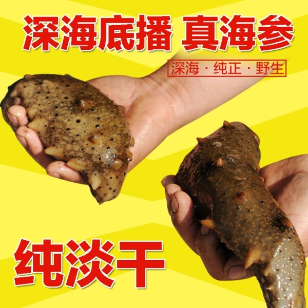 海參