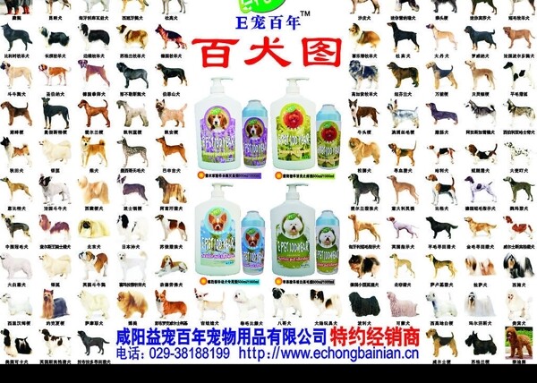 百犬圖圖片