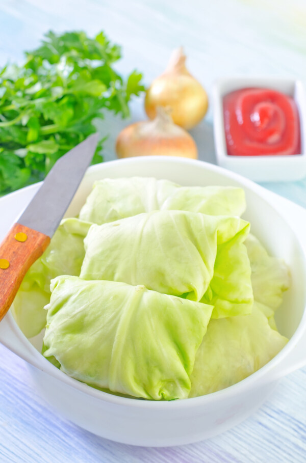 新鲜蔬菜卷图片