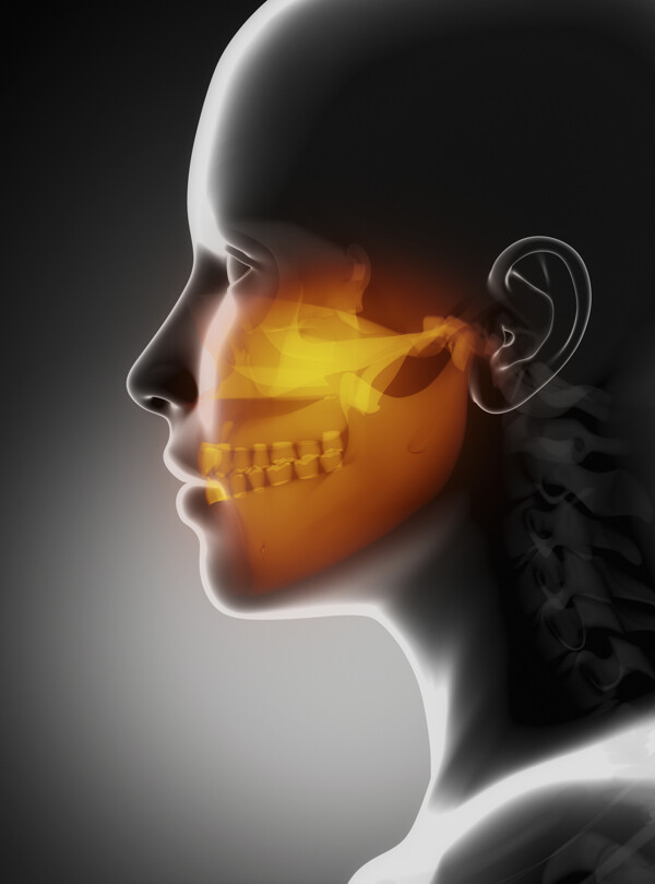 人体头骨CT图片