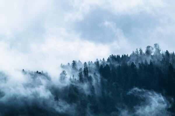 云雾袅绕