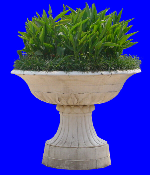 花壇023植物素材