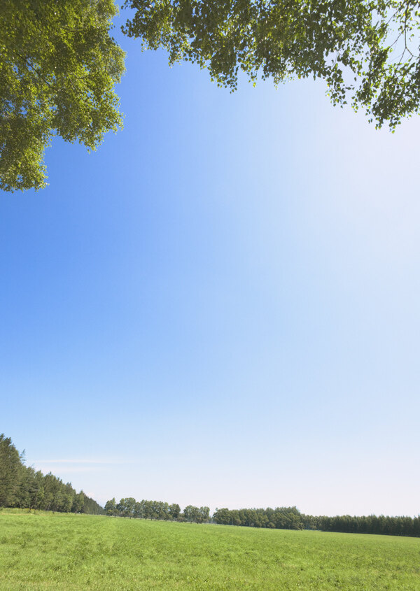 蓝天下的草原风景图片
