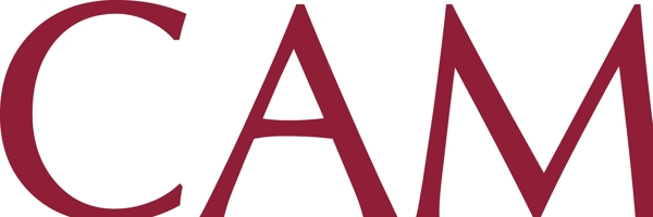 卡米拉logo图片