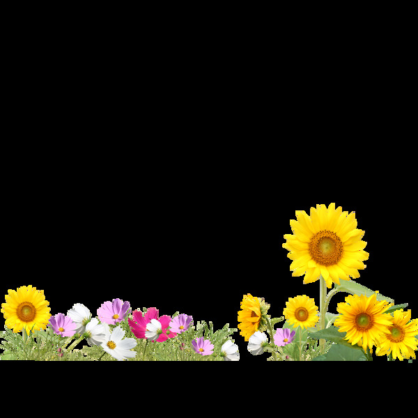 唯美六一兒童節(jié)花朵素材