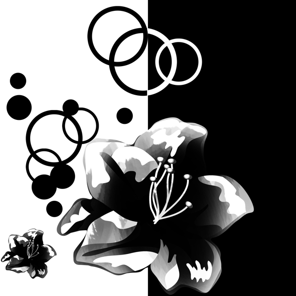 白色花朵三聯(lián)畫