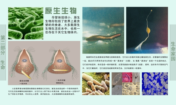 學(xué)校展板圖片