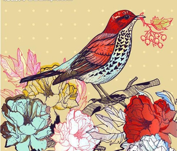時(shí)尚花紋邊框素材