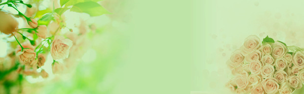 淘寶女裝專用創(chuàng)意banner設(shè)計(jì)