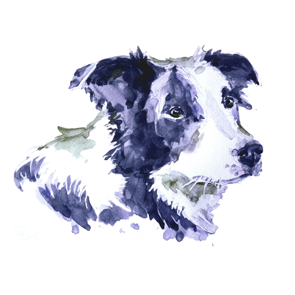位圖插畫時尚插畫動物插畫藝術(shù)效果免費素材