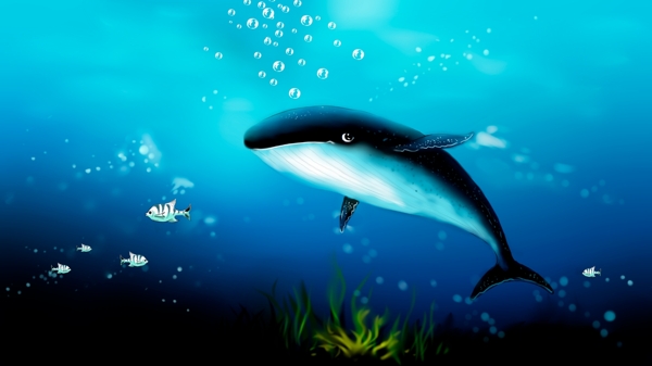 深海鲸鱼插画蓝色背景图