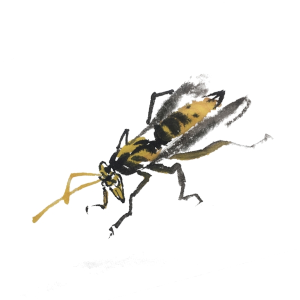 水墨风昆虫蚂蚱手绘插画