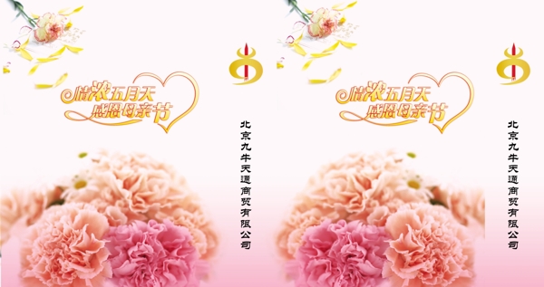 母親節(jié)手提袋圖片