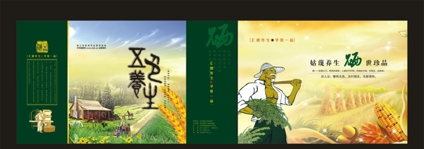 匯都養(yǎng)生矢量包裝設計