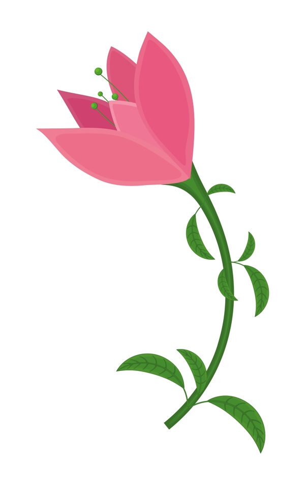 粉紅色的郁金香花設(shè)計(jì)
