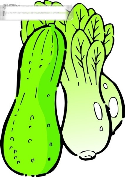 蔬菜110