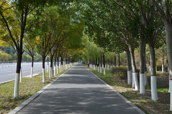 街景