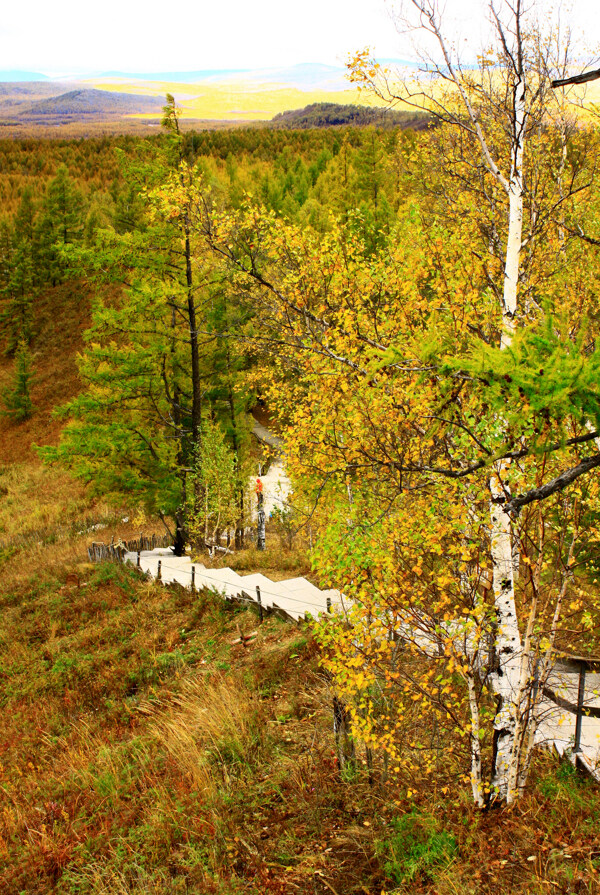 阿尔山的秋天图片
