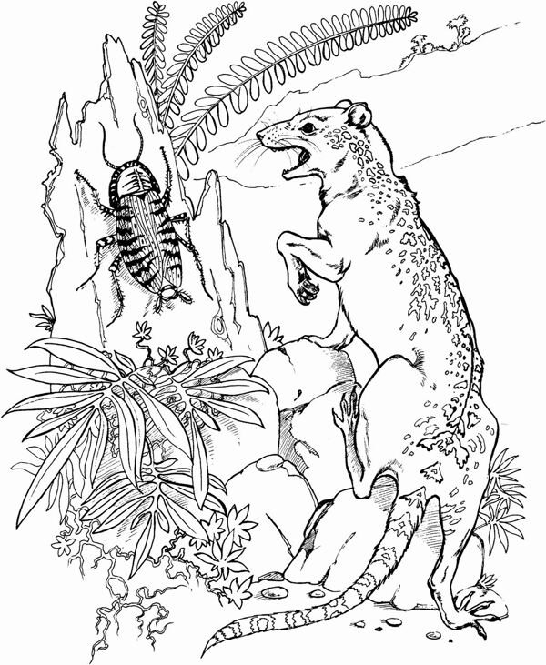 手繪動物畫動物素描