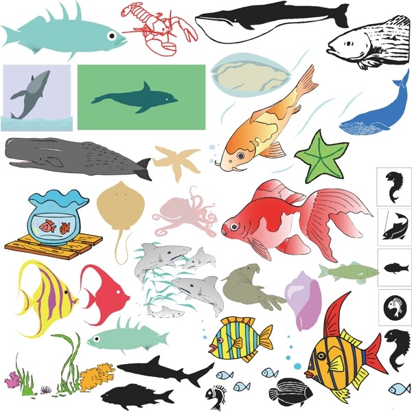 金鱼斑马鱼热带鱼海草图片