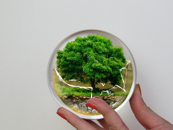 水晶球中的世界