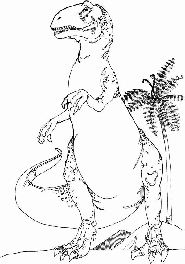 遠(yuǎn)古時代的動物恐龍手繪畫動物素描